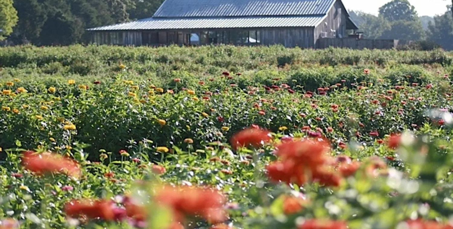 Welcome To Shamayim Farmstead!